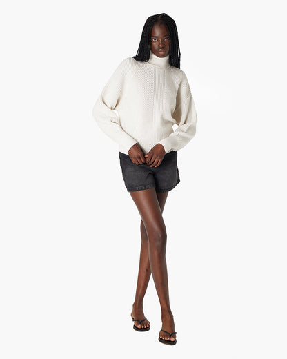 Merino Knit Turtleneck  - TKEES