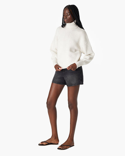 Merino Knit Turtleneck  - TKEES