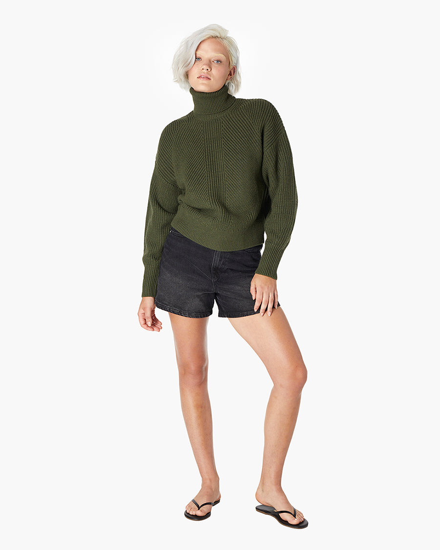 Merino Knit Turtleneck  - TKEES