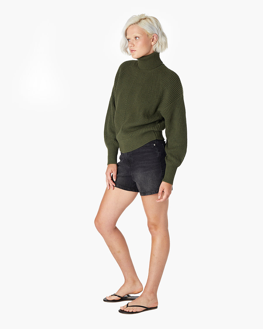 Merino Knit Turtleneck  - TKEES
