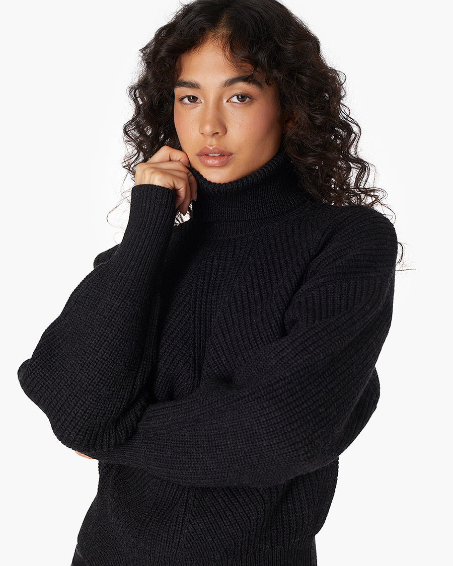 Merino Knit Turtleneck  - TKEES