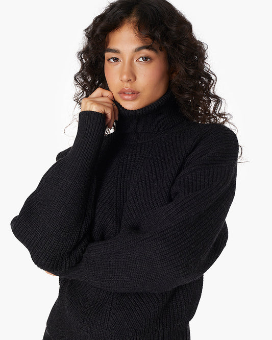 Merino Knit Turtleneck  - TKEES